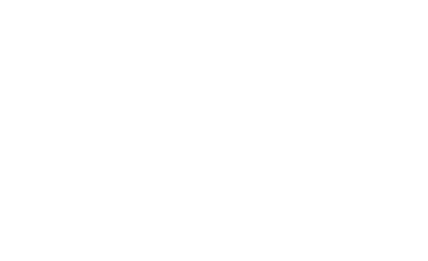 easyconnect_flight EasyConnect by SIHOT